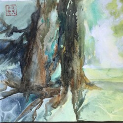 Cedars