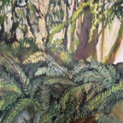 Fern Forest