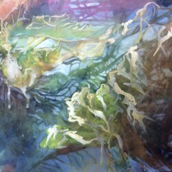 Summer Tangle