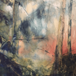 Sunset Forest