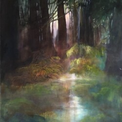 Winter Forest